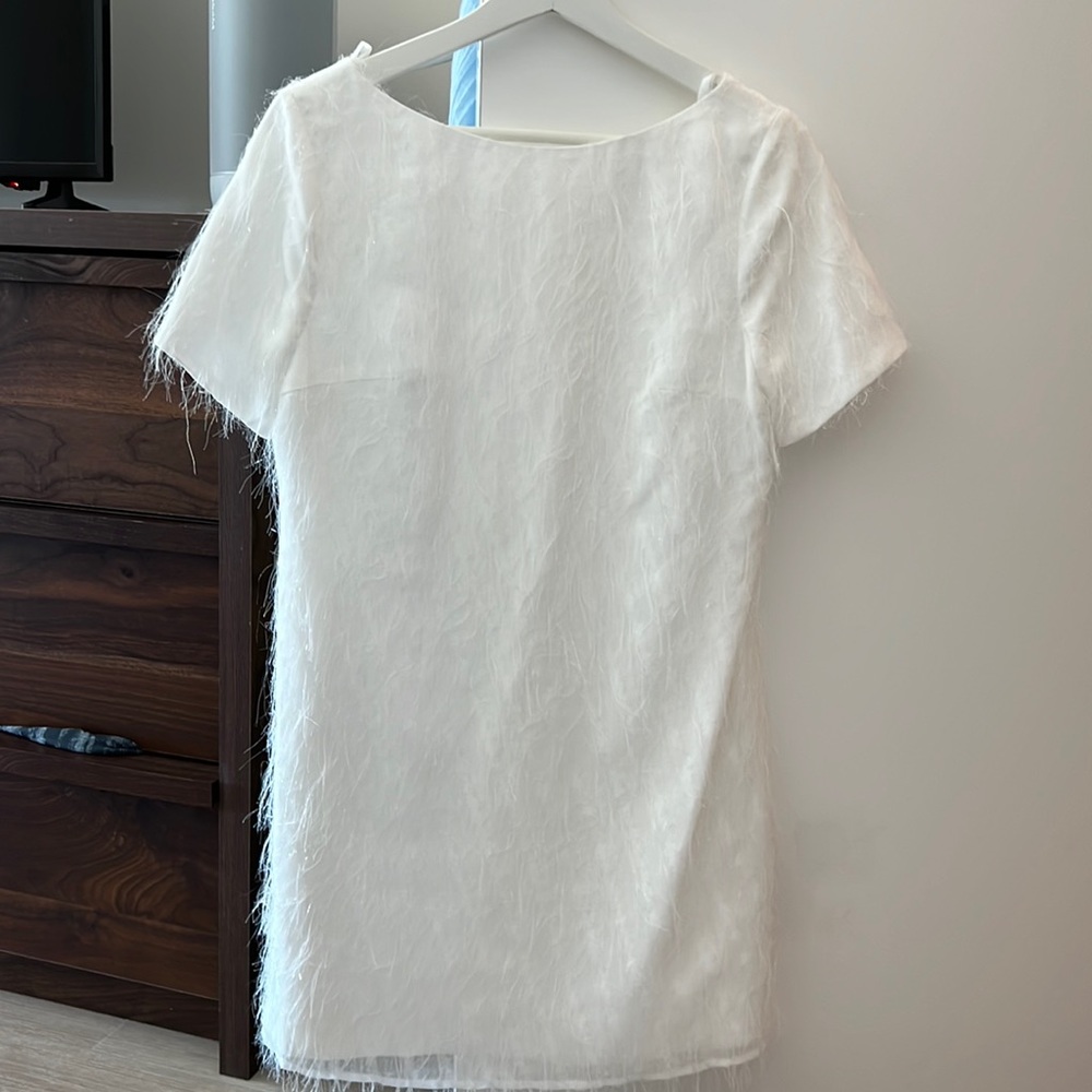 Fame and Partners mini dress